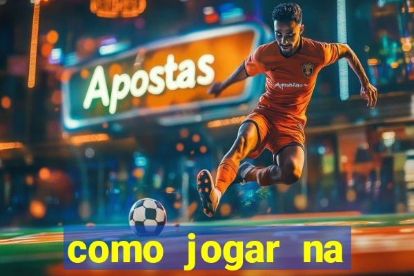 como jogar na lotinha do jogo do bicho