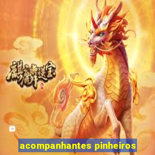 acompanhantes pinheiros