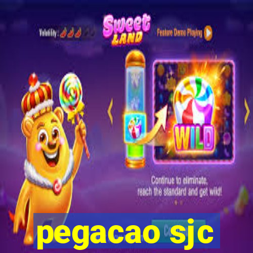 pegacao sjc