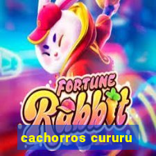 cachorros cururu