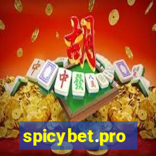 spicybet.pro