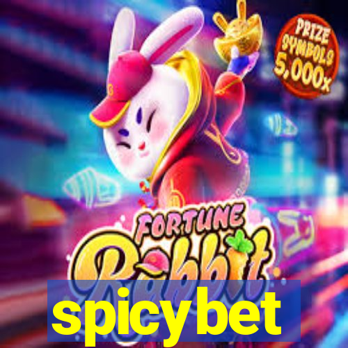 spicybet-2.com